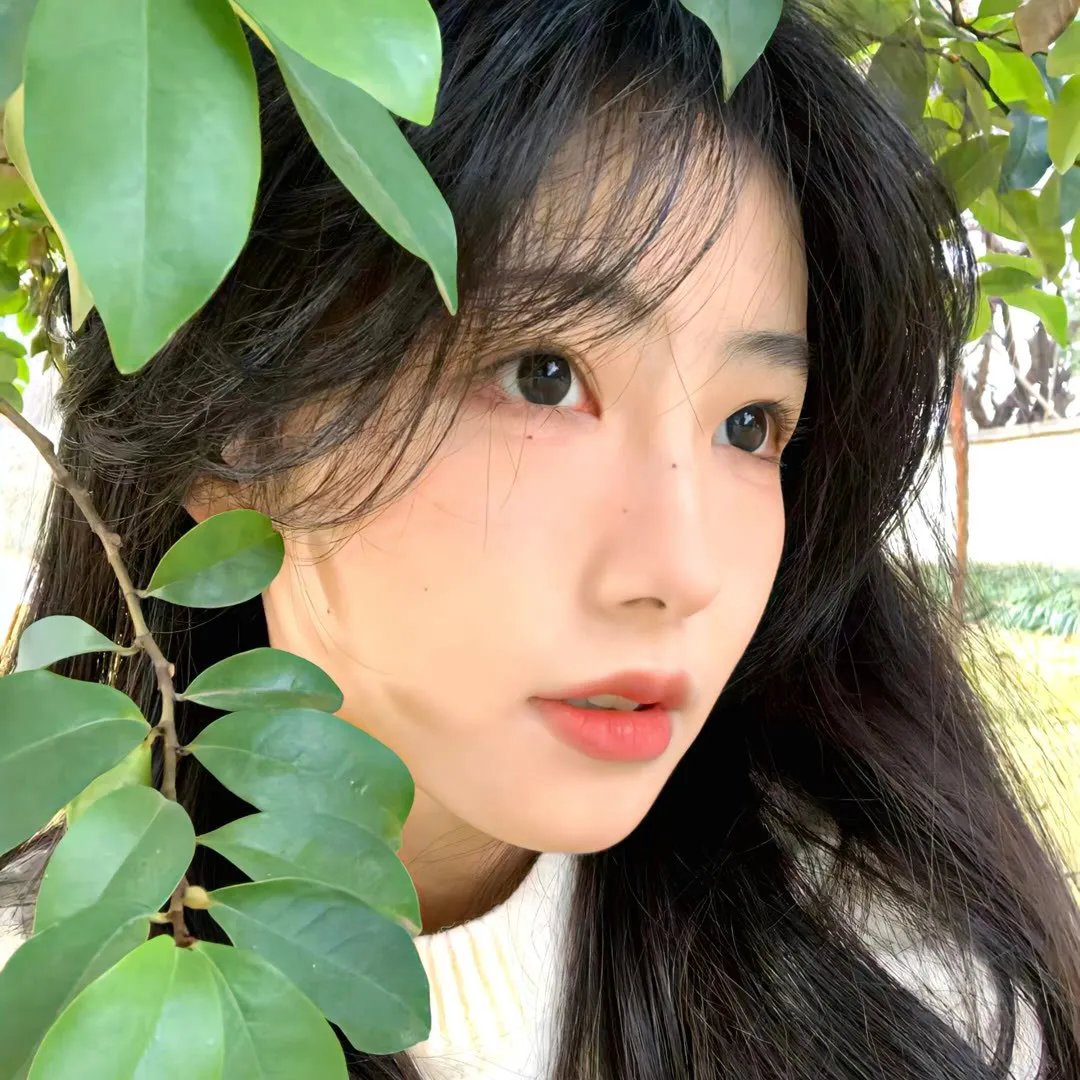 青云志